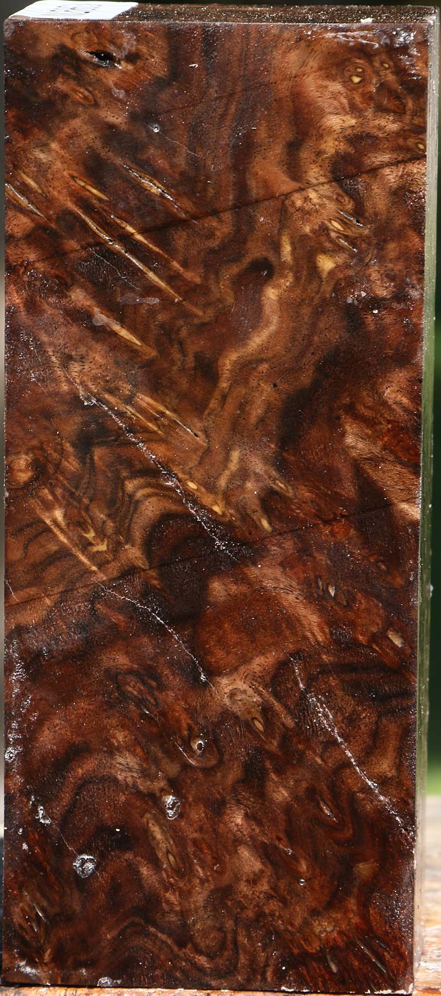 Claro Walnut Burl Turning Square