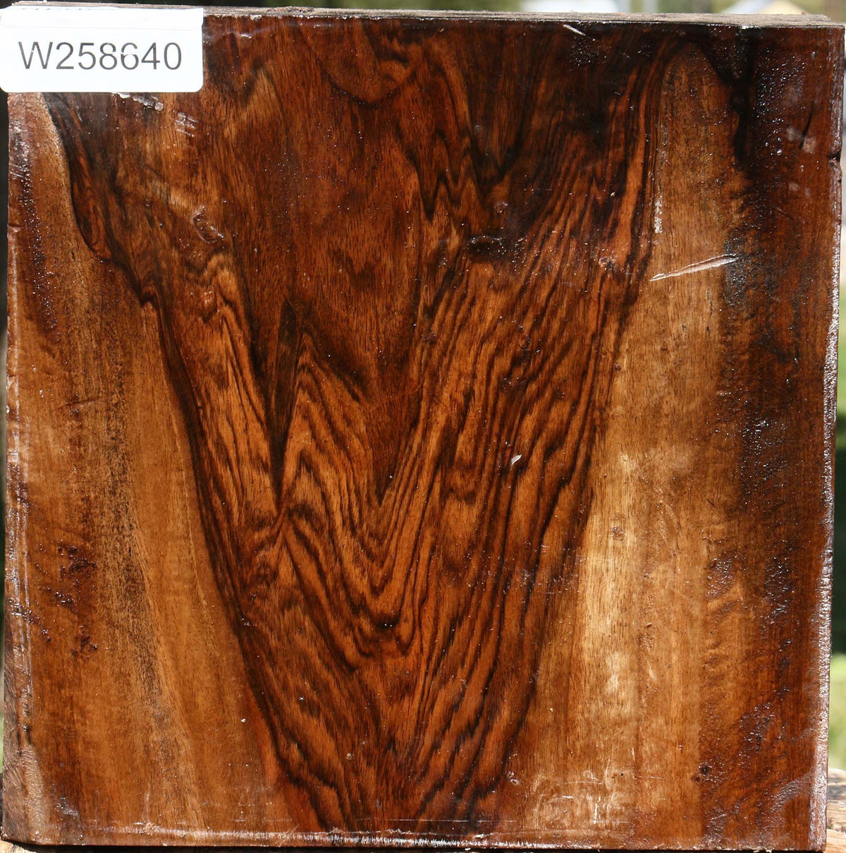 Extra Fancy English Walnut Bowl Blank