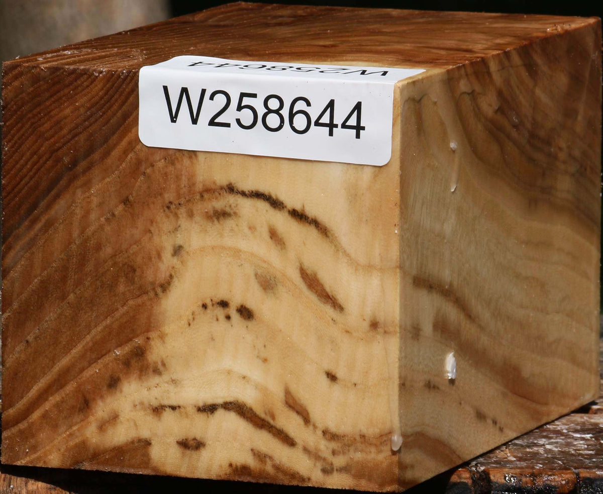 Extra Fancy Elm Turning Square