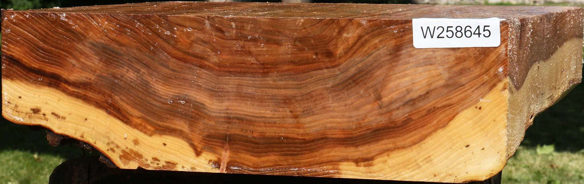 Figured Elm Bowl Blank