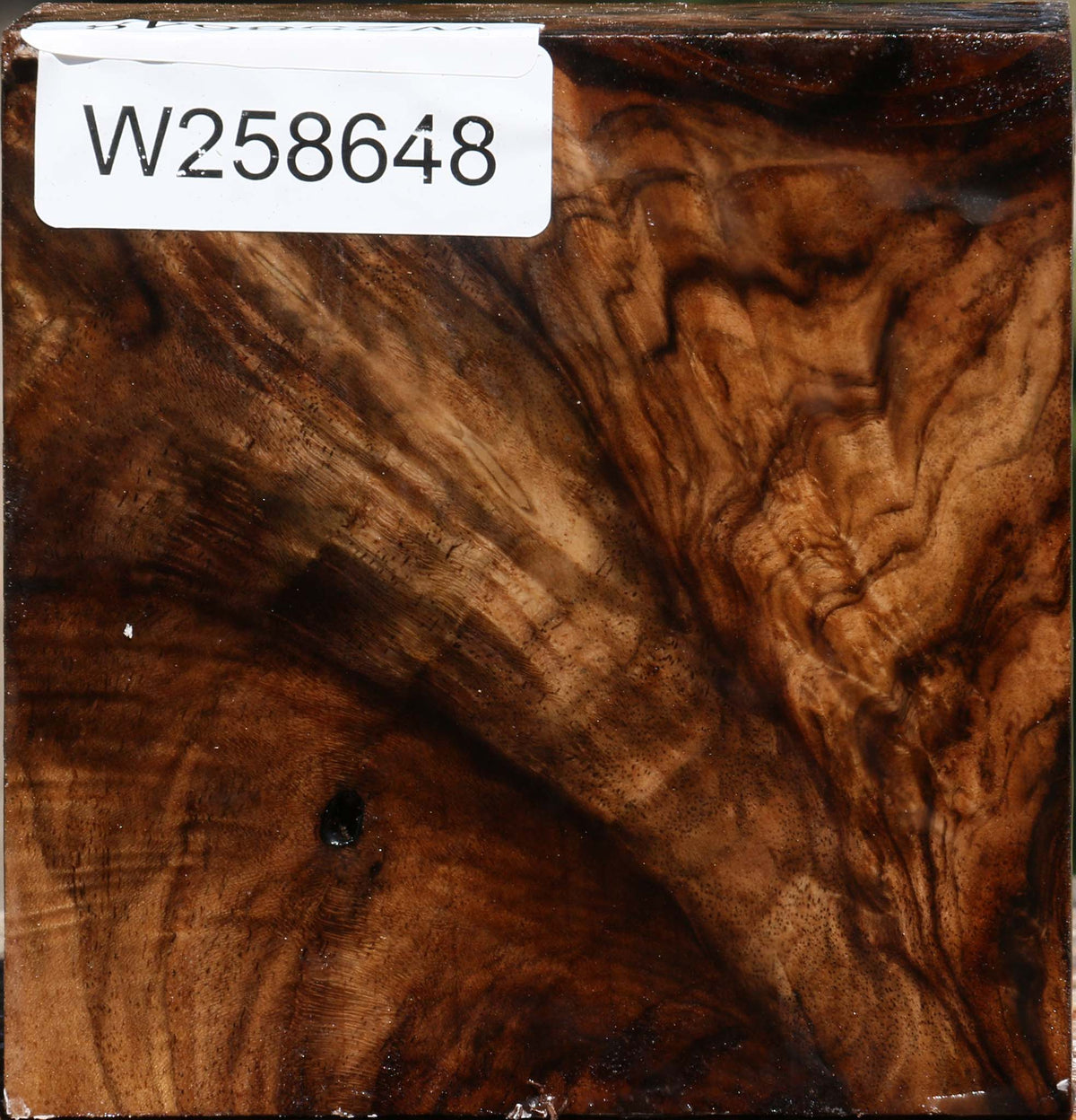 Extra Fancy Grafted Claro Walnut Bowl Blank