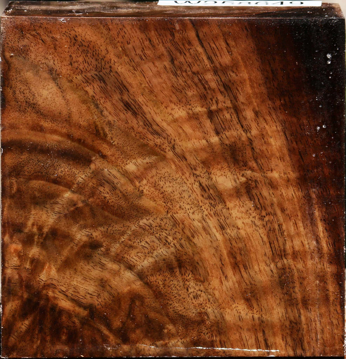 Extra Fancy Claro Walnut Bowl Blank