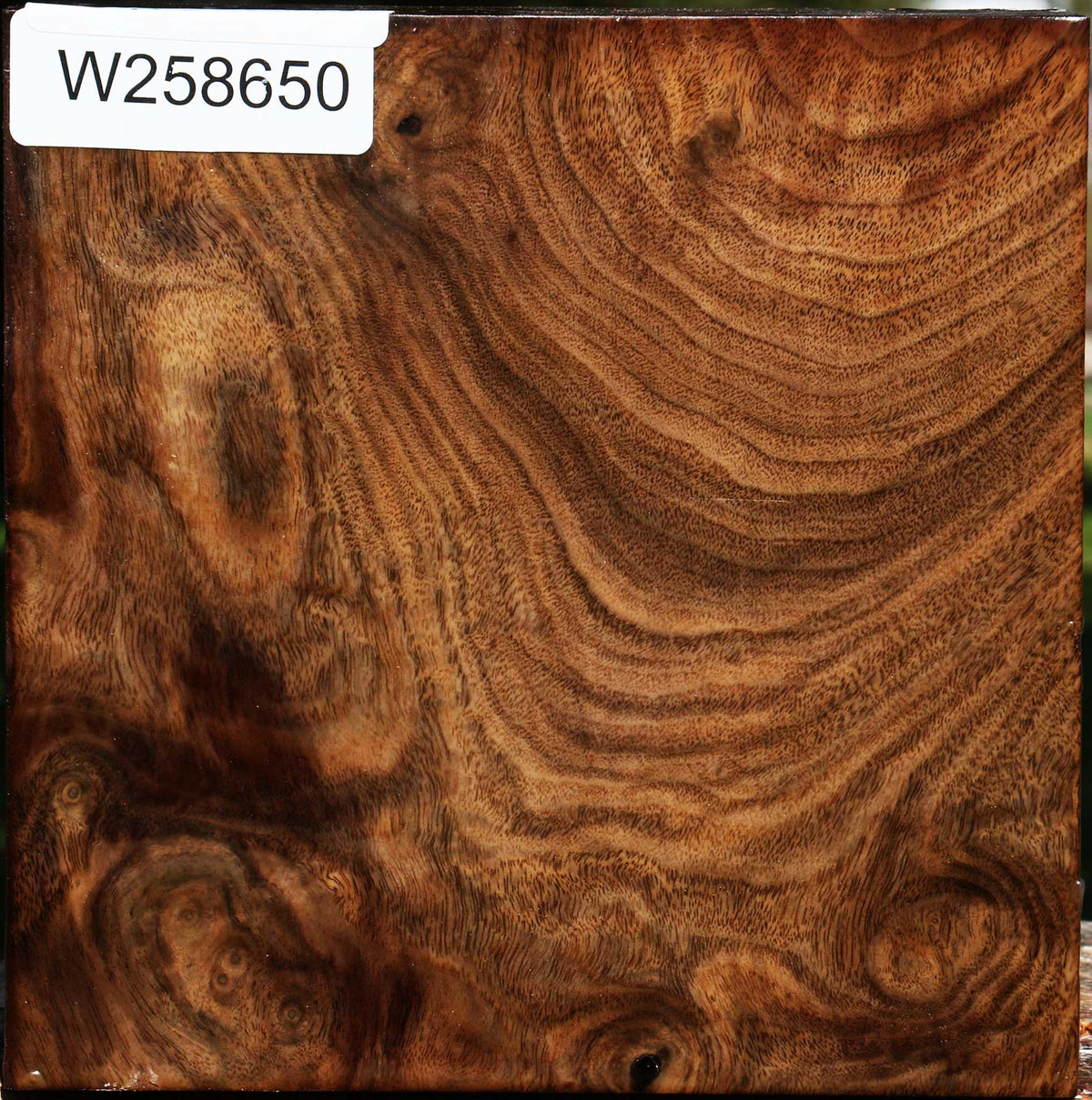 Figured Claro Walnut Bowl Blank