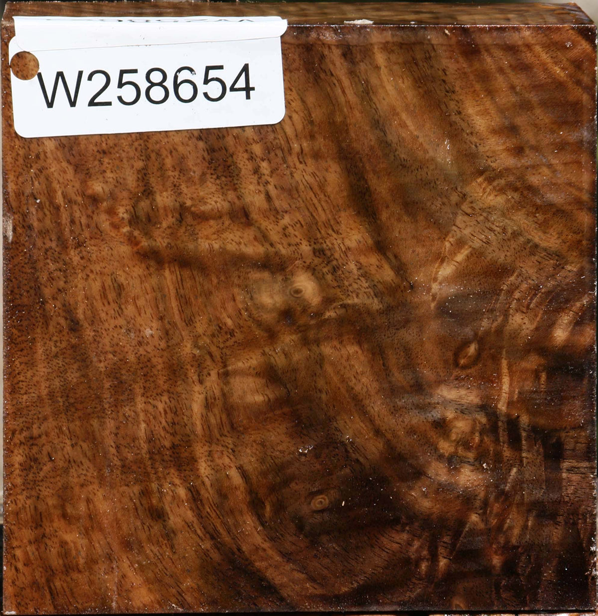Extra Fancy Claro Walnut Bowl Blank