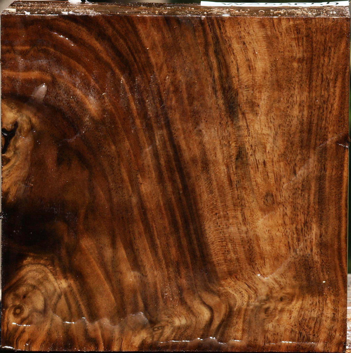 Extra Fancy Claro Walnut Bowl Blank