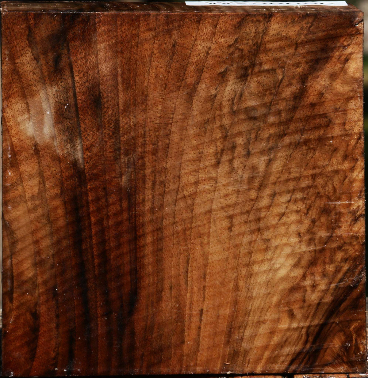 Extra Fancy English Walnut Bowl Blank