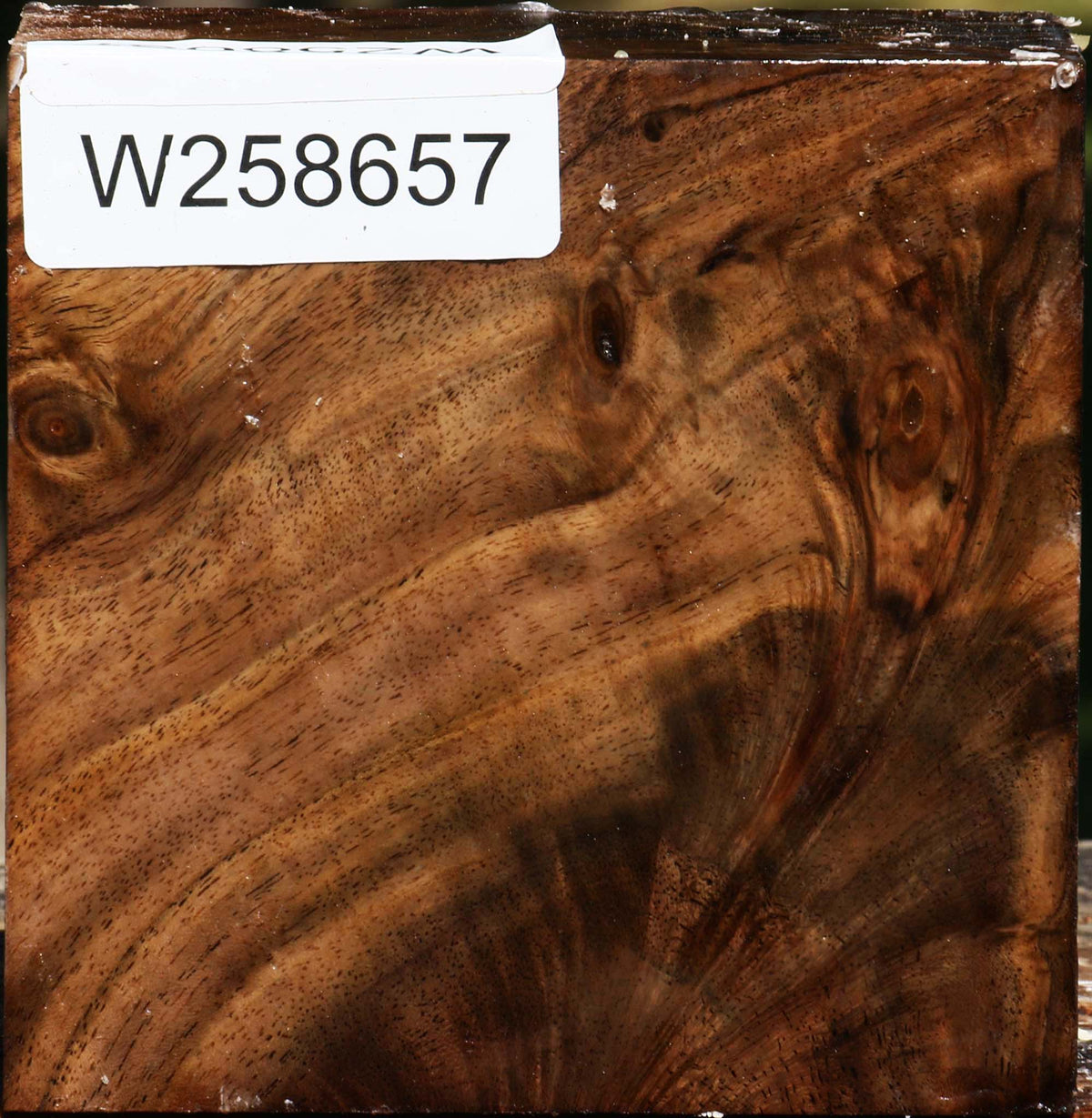 Figured Claro Walnut Bowl Blank