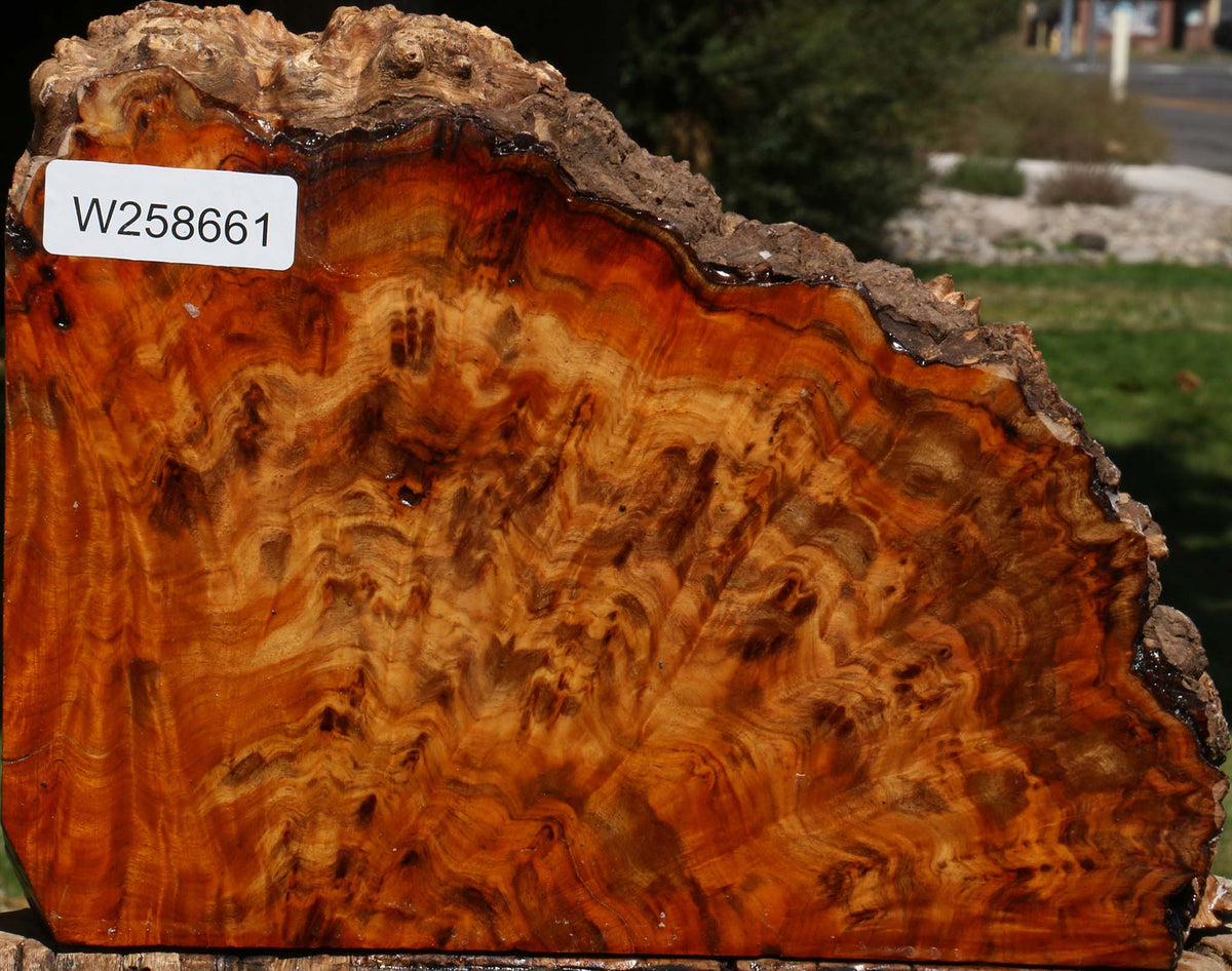 Pernambuco Burl Live Edge Turning Blank