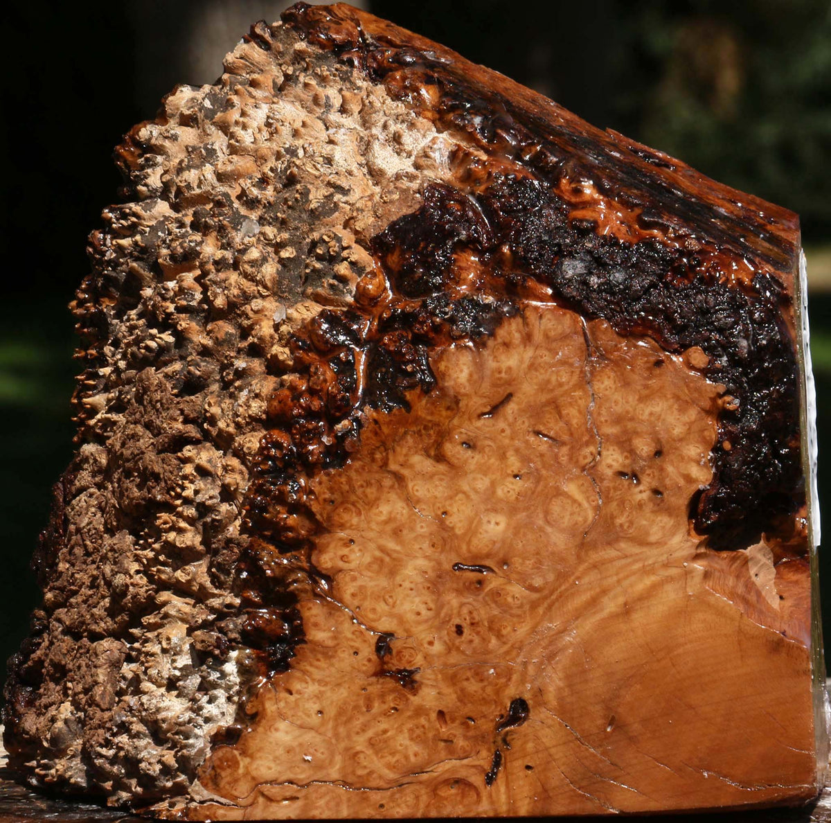 Kanista Burl Live Edge Turning Blank