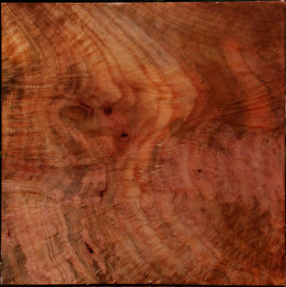 Madrone Burl Bowl Blank