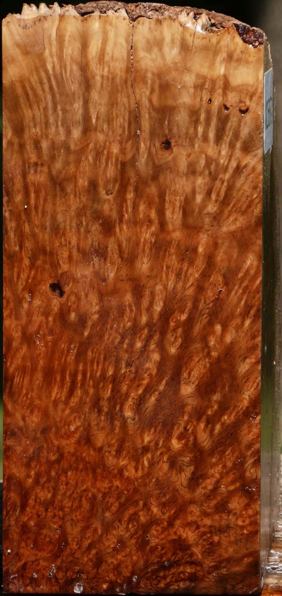 Kanista Burl Live Edge Turning Blank
