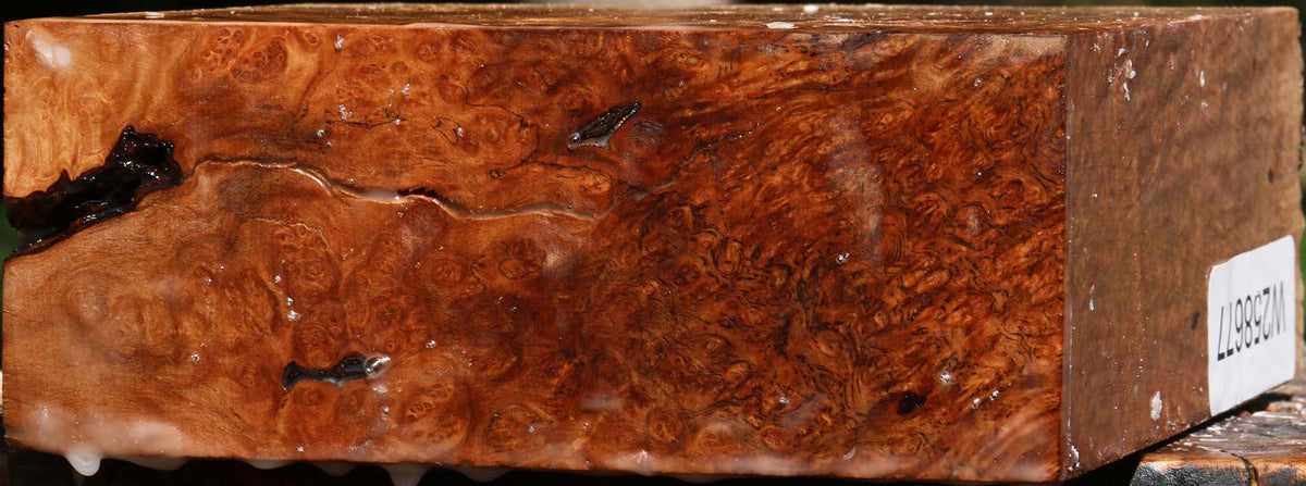 Extra Fancy Kanista Burl Live Edge Turning Blank