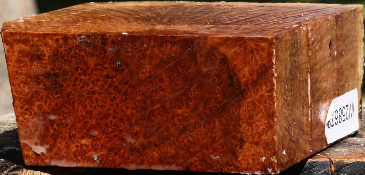Exhibition Kanista Burl Live Edge Bowl Blank