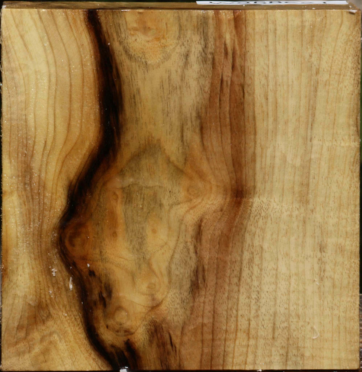 Myrtle Burl Bowl Blank