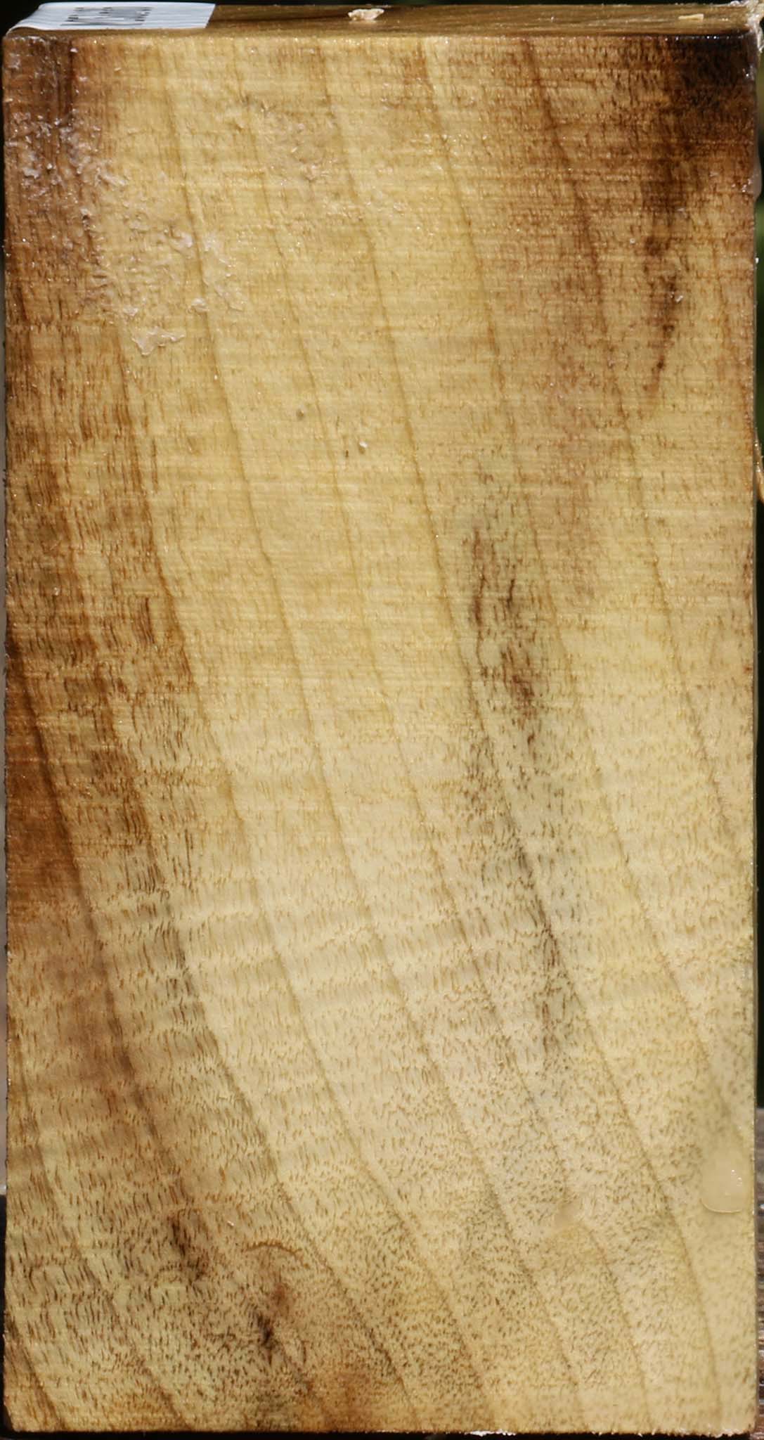 Figured Myrtle Turning Square