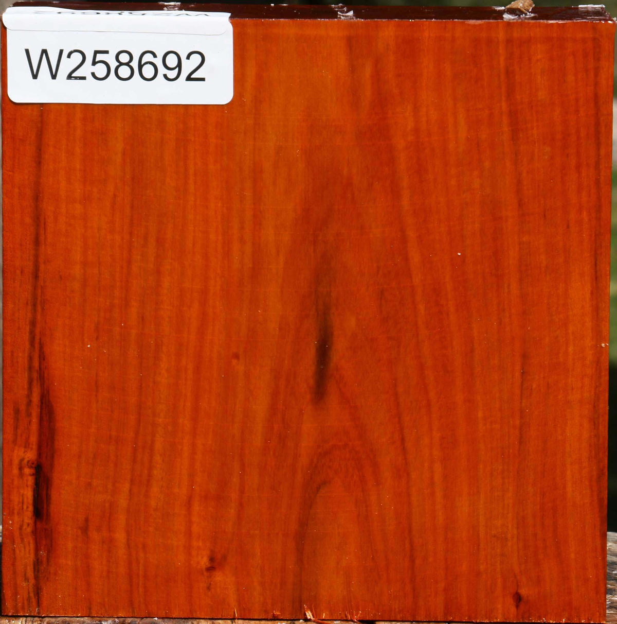 Pernambuco Bowl Blank