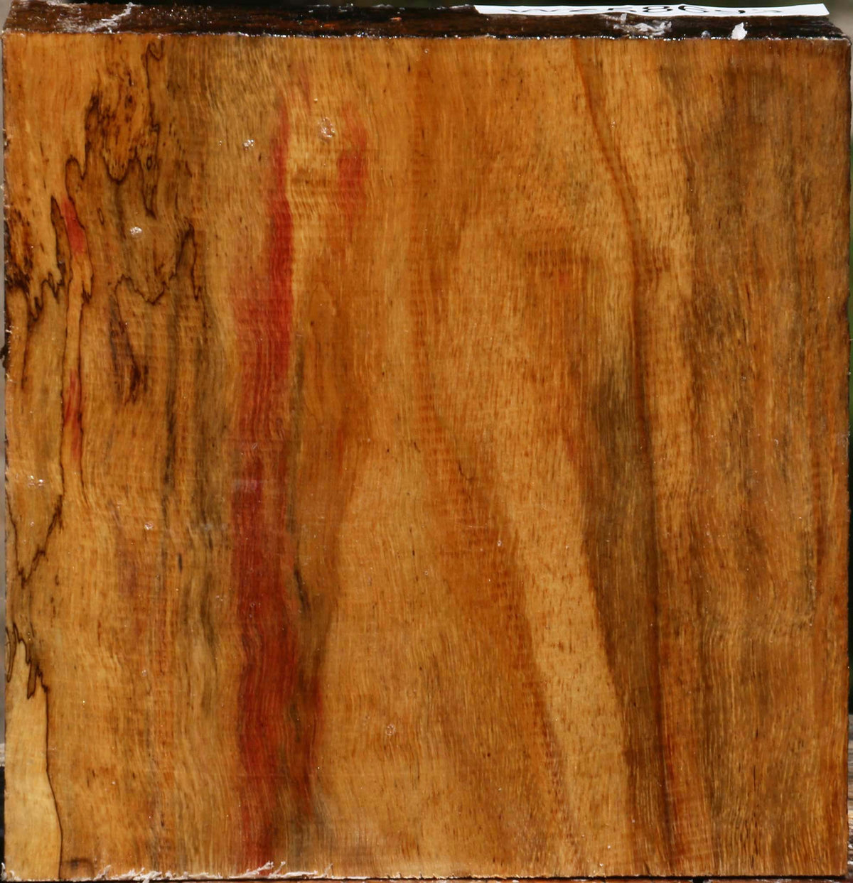 Spalted Tamarind Bowl Blank