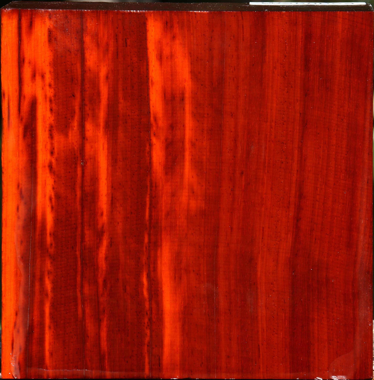 Padauk Bowl Blank