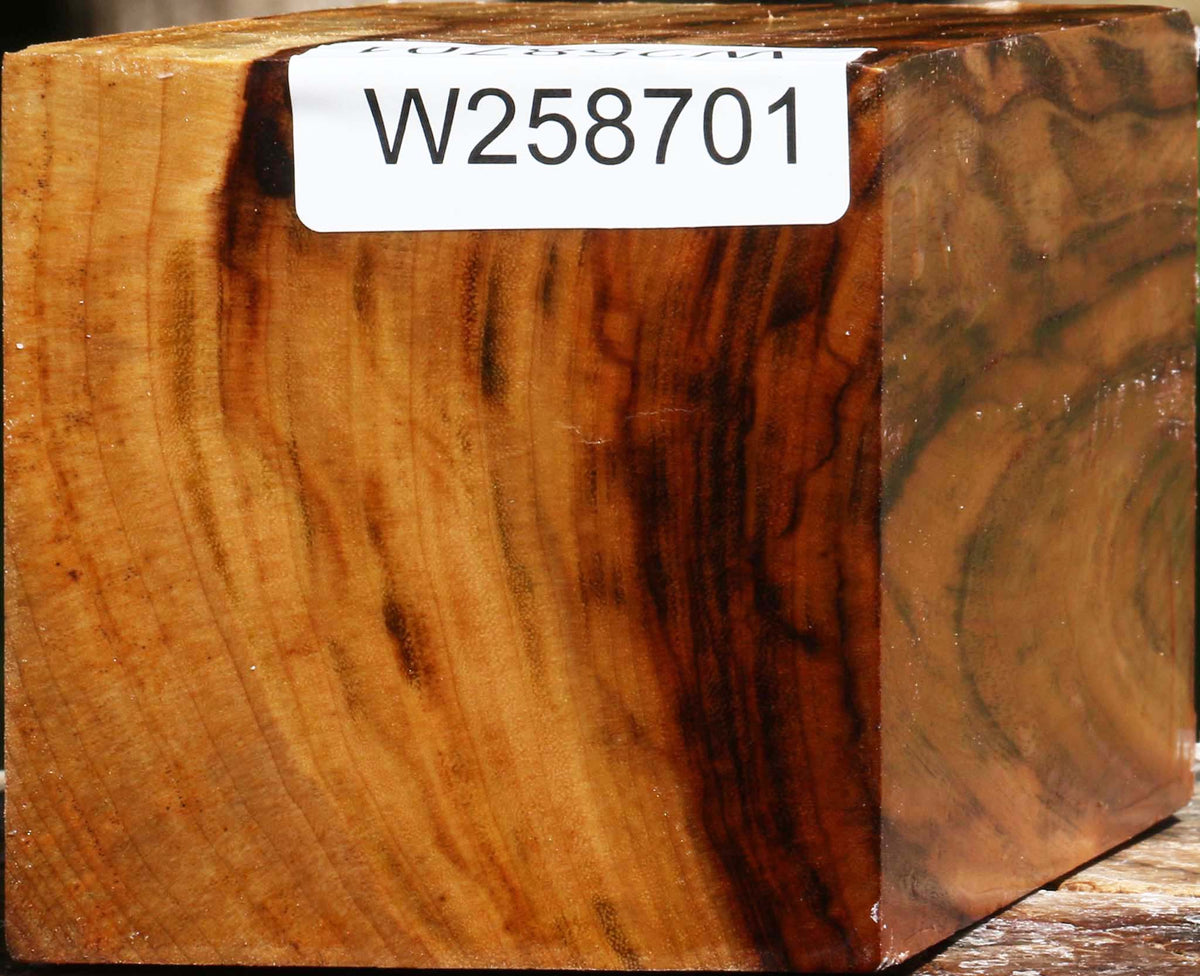 Figured Camphor Turning Square