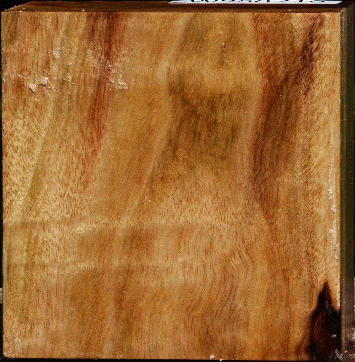 Figured Camphor Bowl Blank