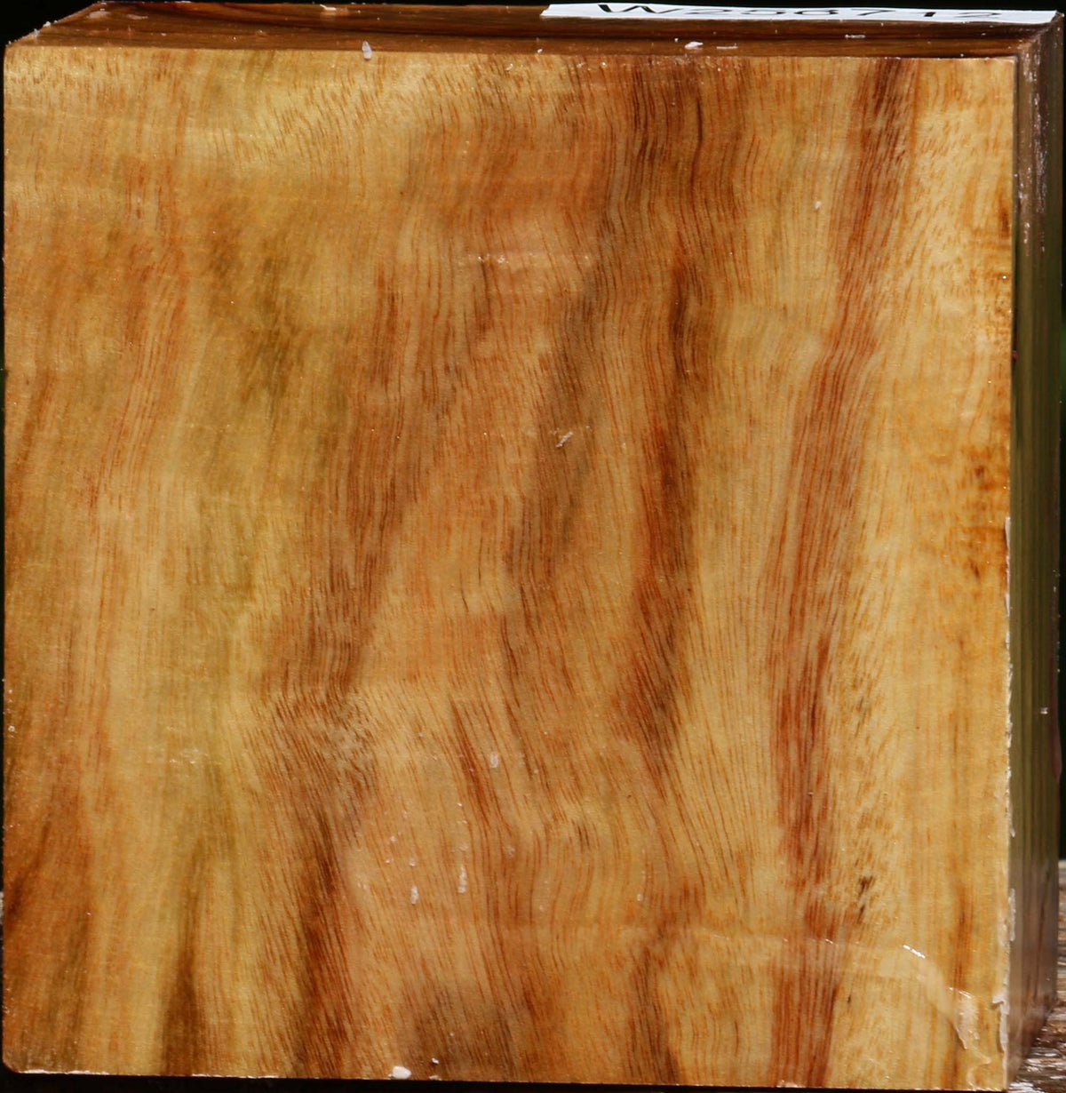 Figured Camphor Bowl Blank