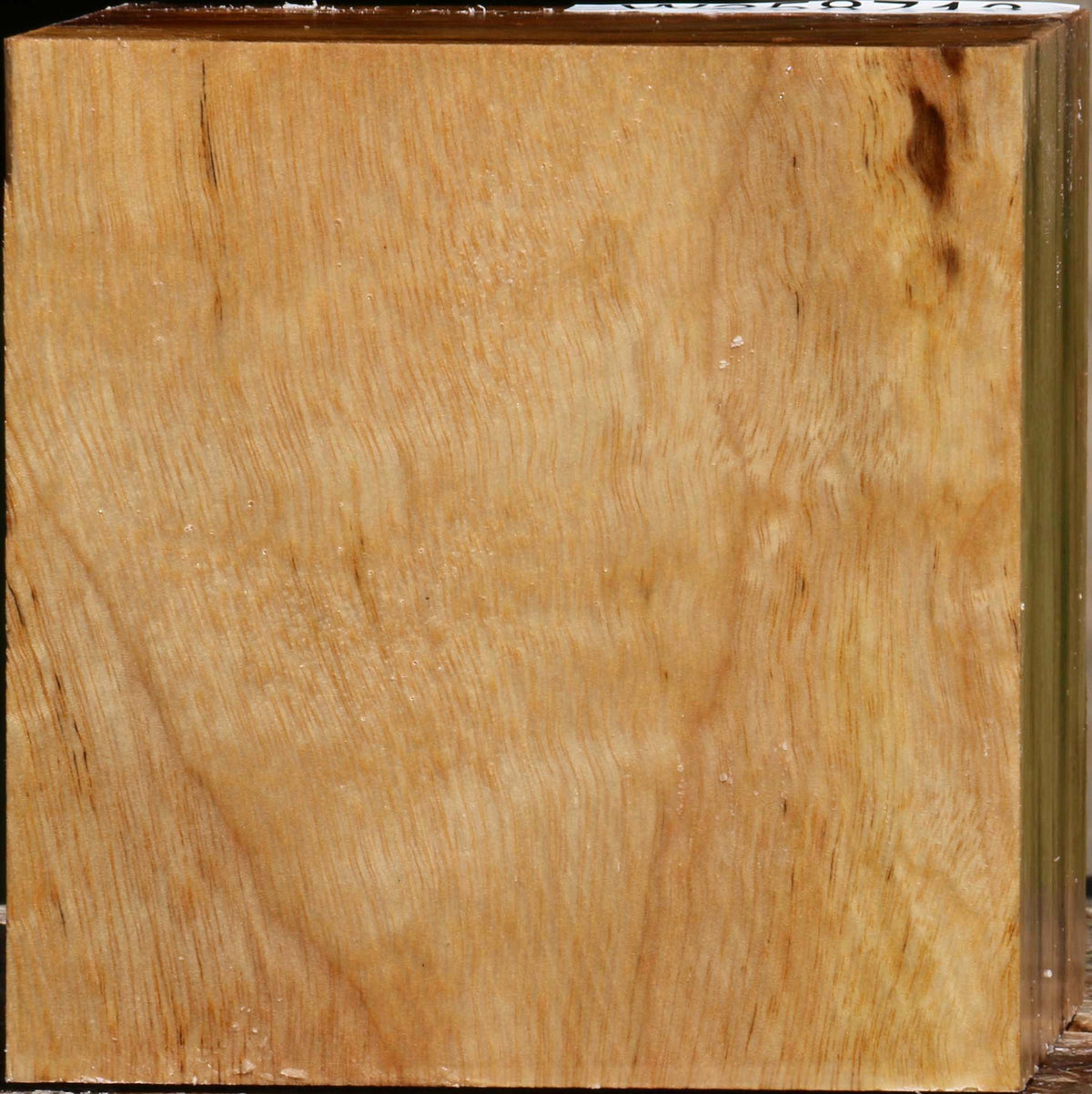 Figured Camphor Bowl Blank