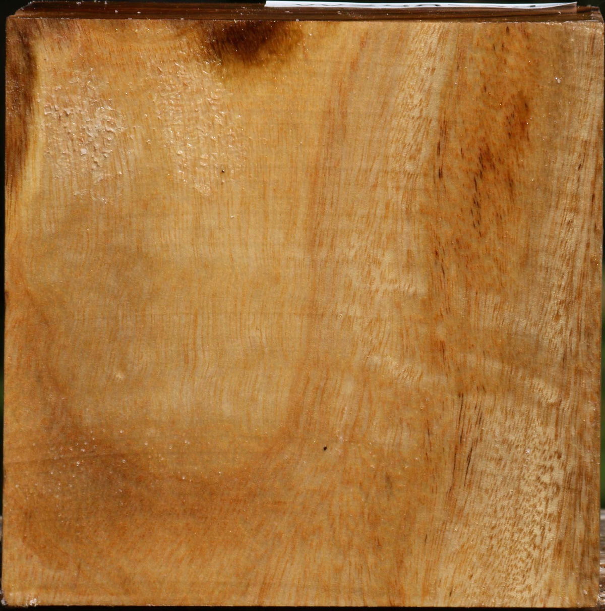 Camphor Bowl Blank