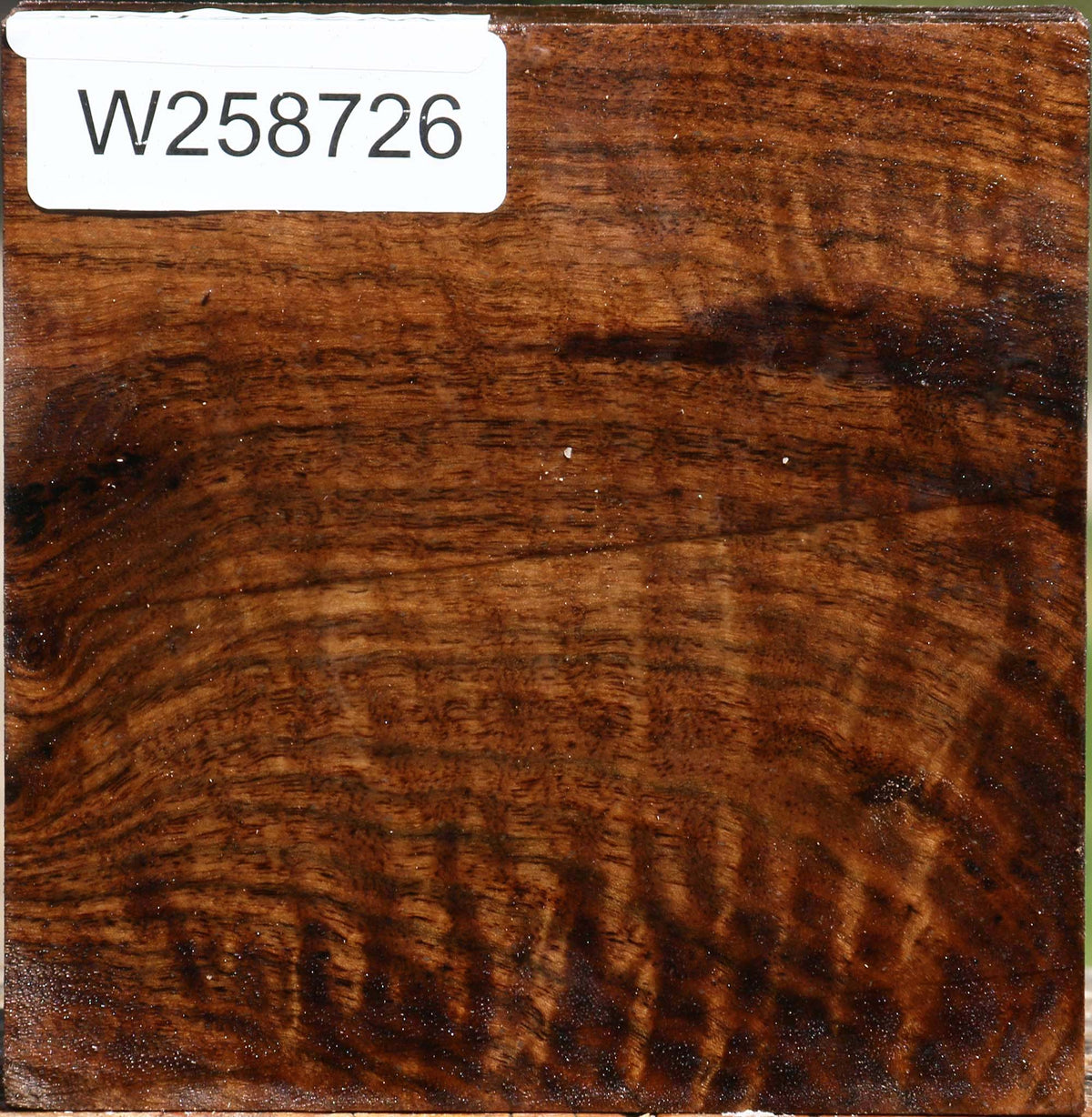 Extra Fancy Claro Walnut Bowl Blank
