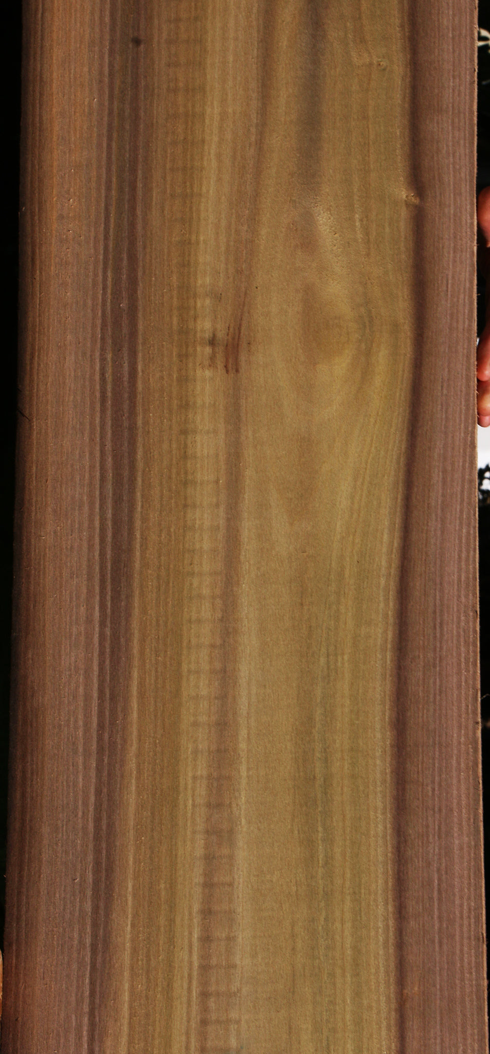 Purple Poplar Lumber