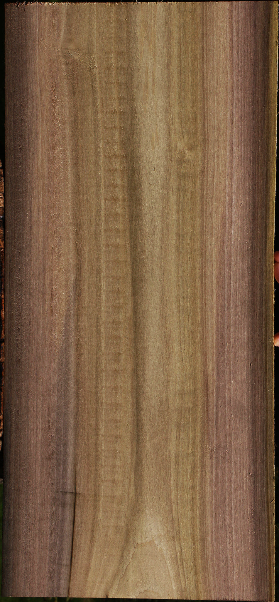 Figured Purple Poplar Lumber