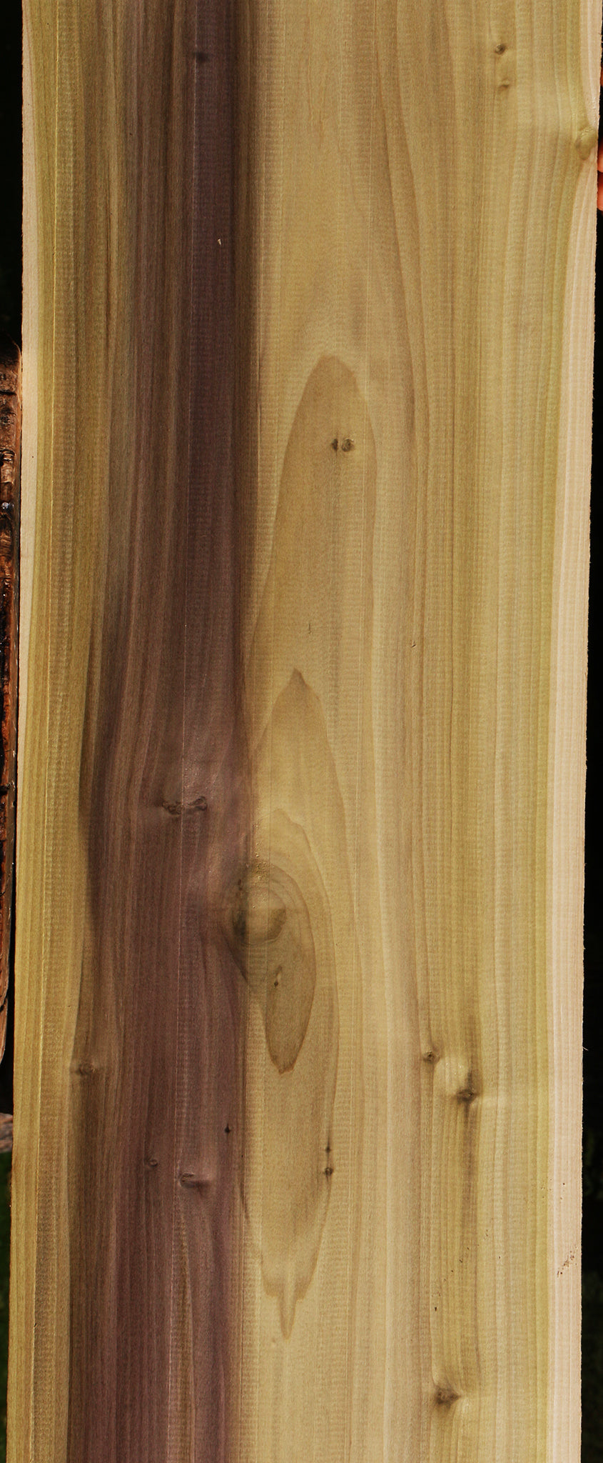 Figured Purple Poplar Lumber