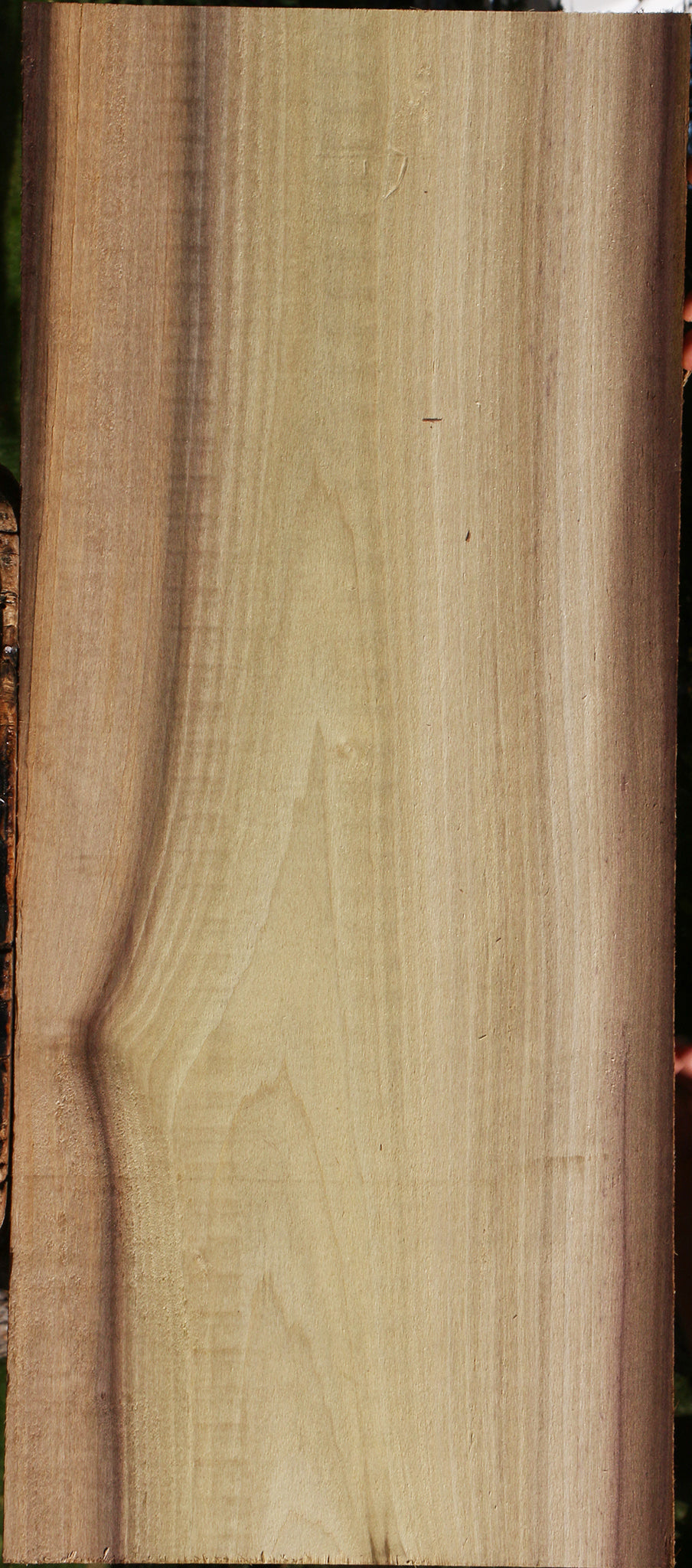 Purple Poplar Lumber