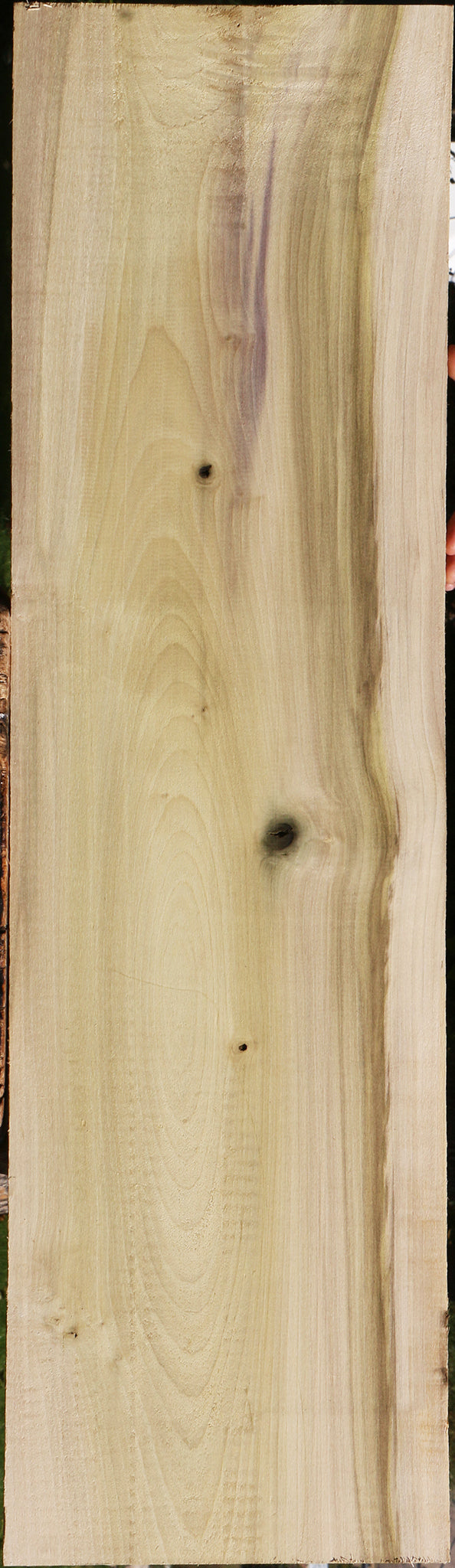 Purple Poplar Lumber