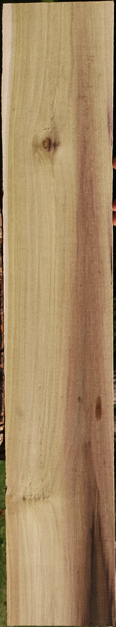 Purple Poplar Lumber