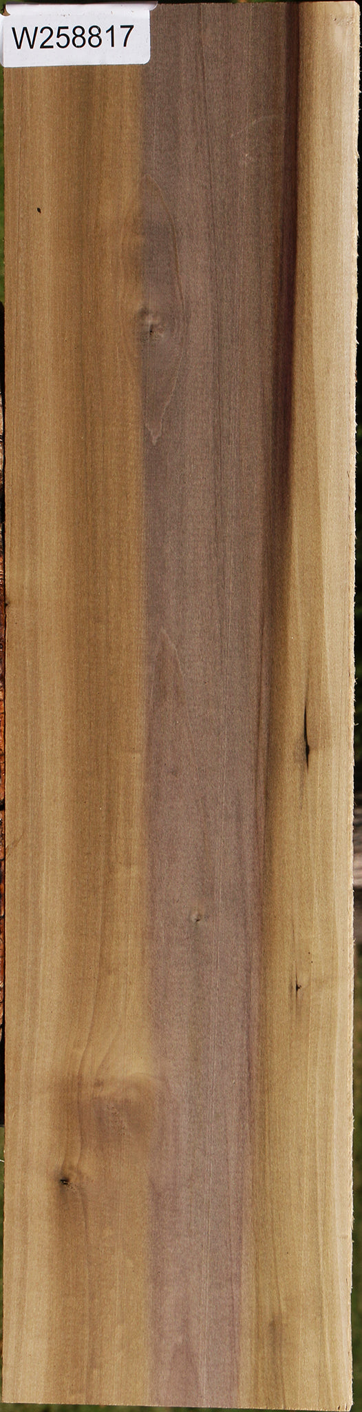 Purple Poplar Lumber