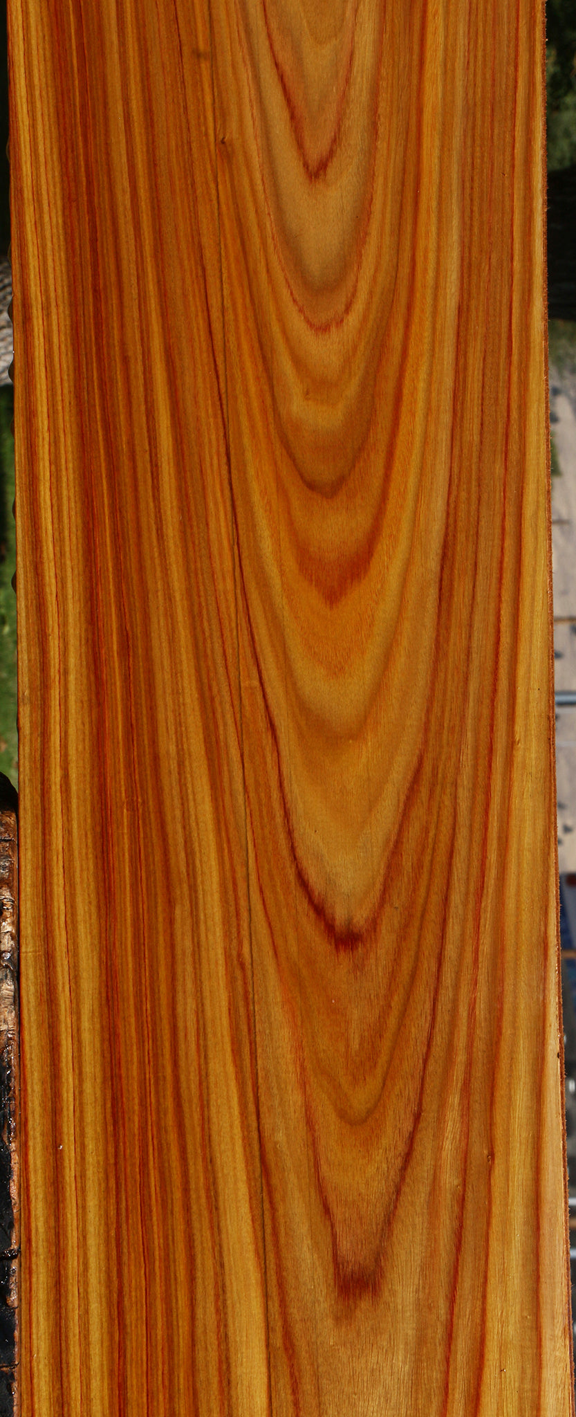Figured Canary Lumber