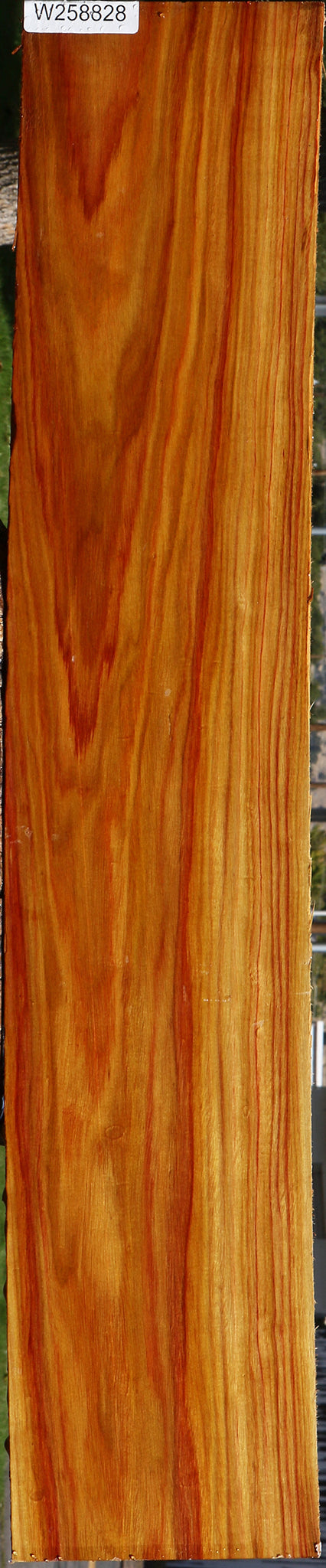 Figured Canary Lumber