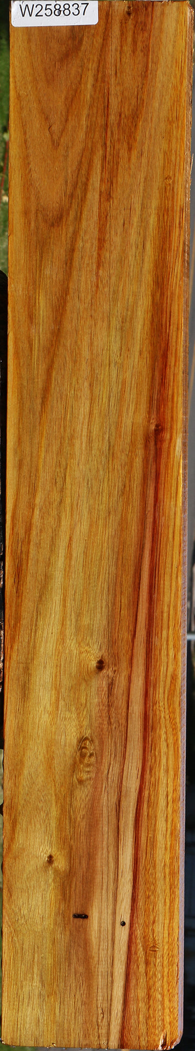 Canary Lumber