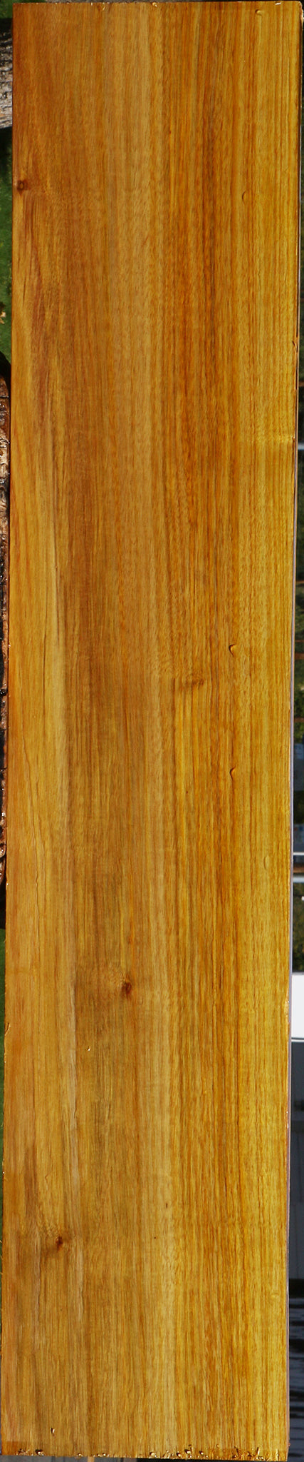 Canary Lumber