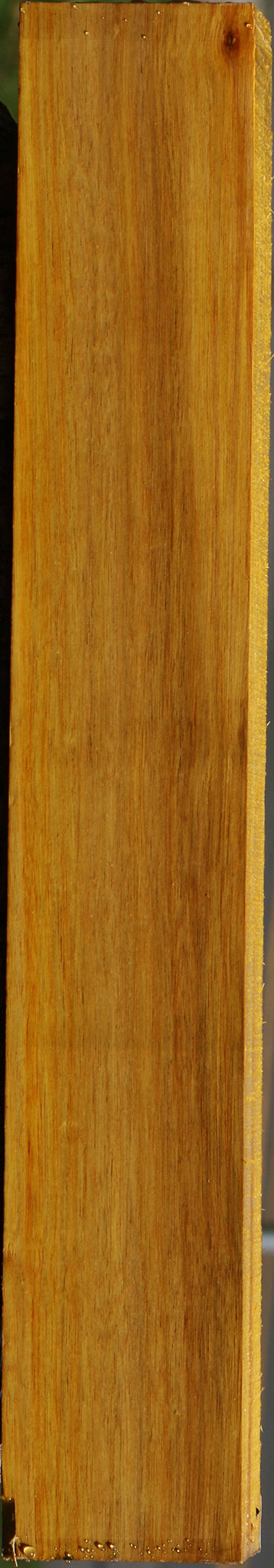 Canary Lumber