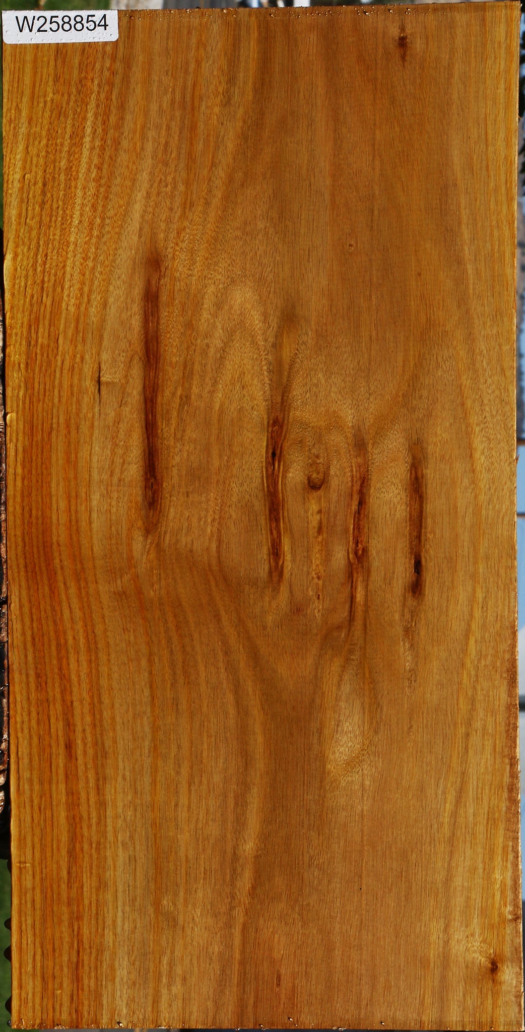 Canary Lumber