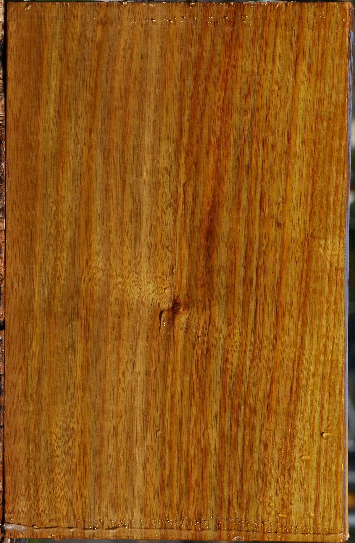 Canary Lumber