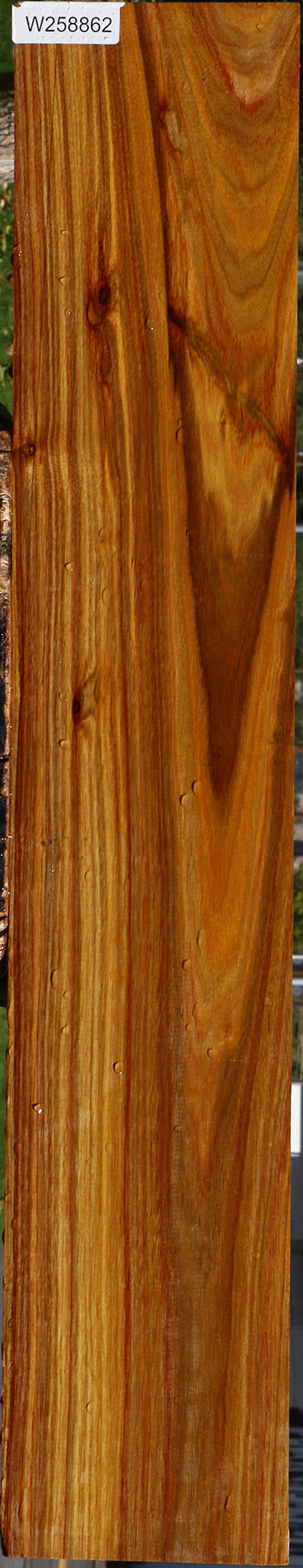 Canary Lumber
