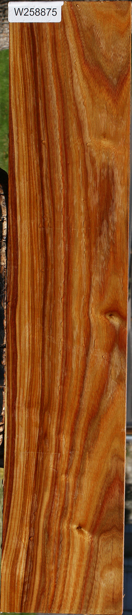 Canary Lumber