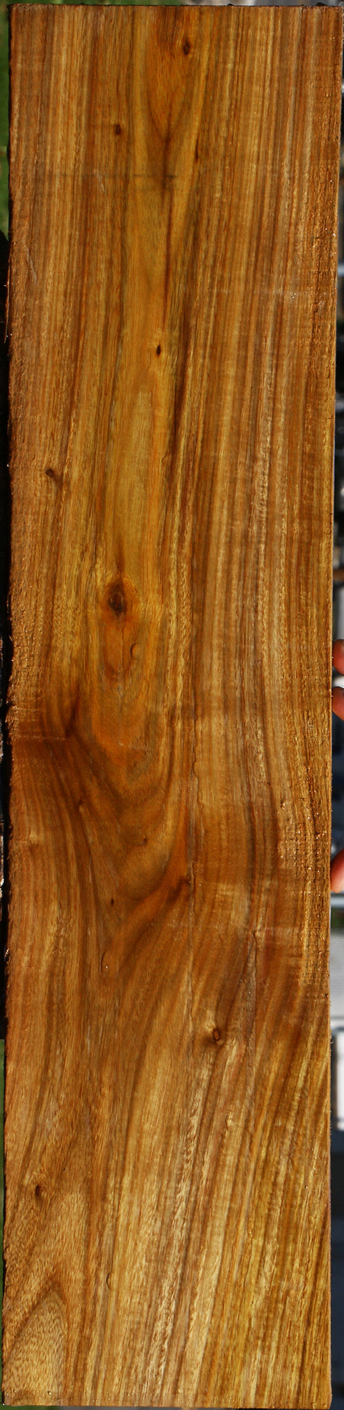 Canary Lumber
