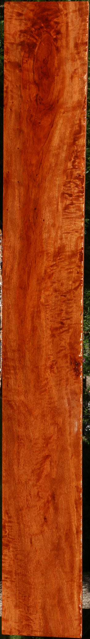 Extra Fancy Burmese Padauk Lumber