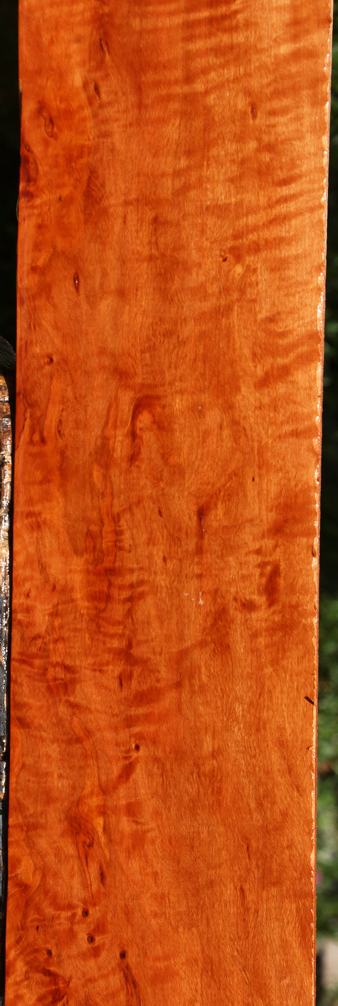 Extra Fancy Burmese Padauk Lumber