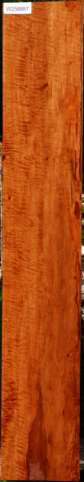 Extra Fancy Burmese Padauk Lumber