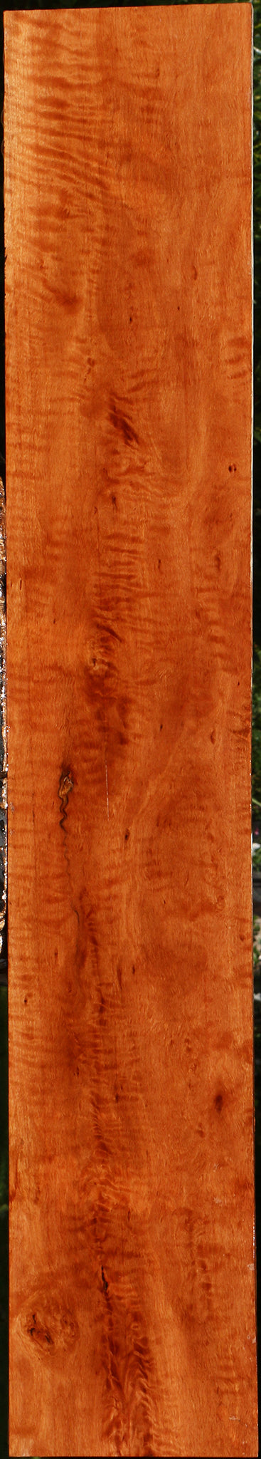 Extra Fancy Burmese Padauk Lumber