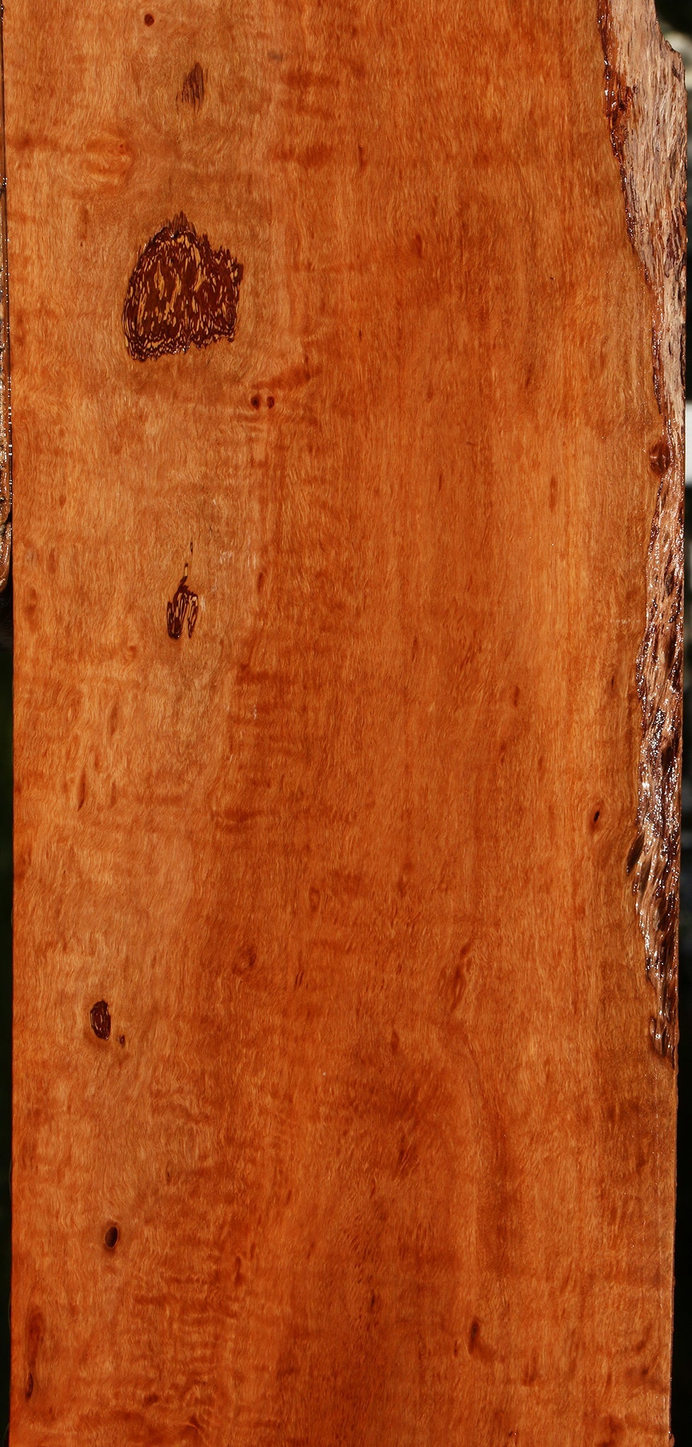Figured Burmese Padauk Lumber